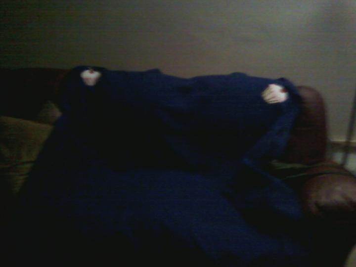 Blanket with Cupcake Appliques