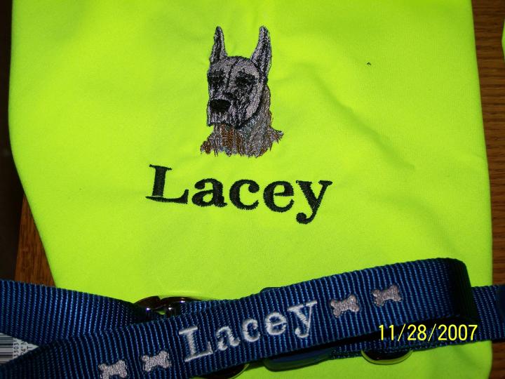 Dog Bandana &amp; collar